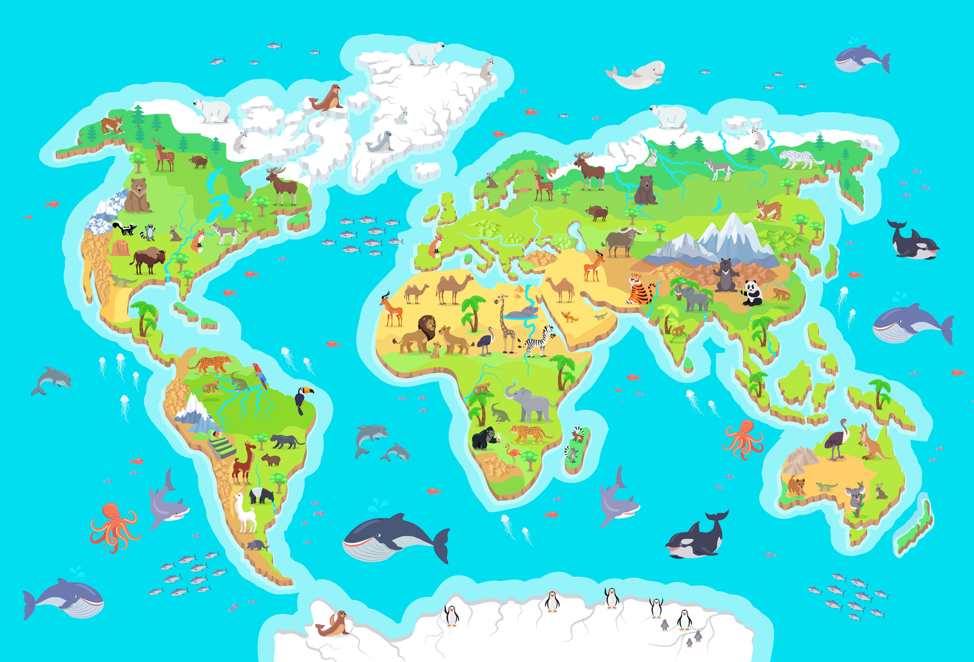 Карта животного мира для дошкольников